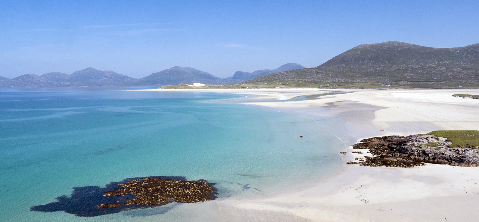 Organic Scottish Seaweed - Mad Diet